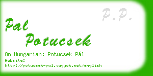 pal potucsek business card